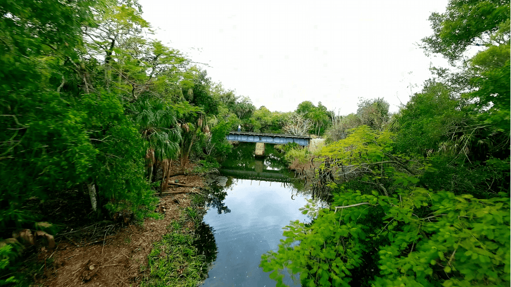 The old railway bridge over the Estero River, part of the corridor that will become the Bonita Estero Rail Trail